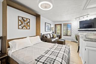 Charming Condo near Navajo Lift - 0