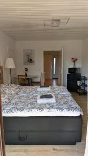 Cozy Studio with private bathroom and terrasse - Hilden - 7