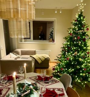 Arctic Apartment Tomasjordnes - 7