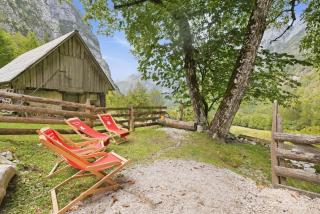 Alpine house Antonia - 5