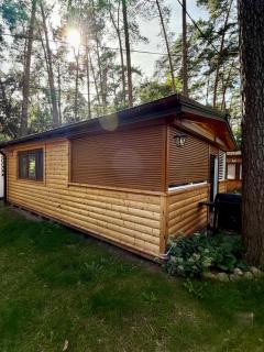 Lake & Forest Cabin - 4