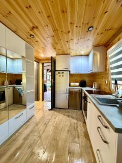 Lake & Forest Cabin - 1