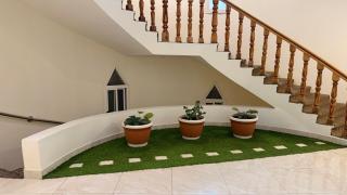 فيورى شهار - Taif - 8