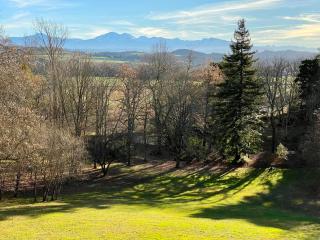 Domaine de Bize Mirepoix - Manoir et Appartements - 4