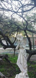 El Bosquesillo Museo - 2