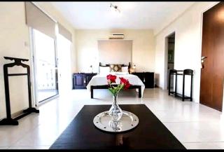 Nissi beach villa de lux - 4