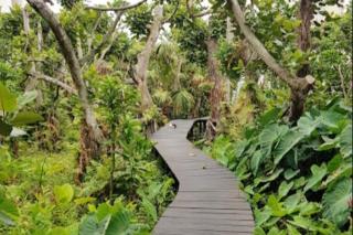 JMK at 49 LaPirogue - Families only - 4