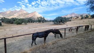 Agate Ranch 1 BD Suite + Views + EV + Pets OK - 4
