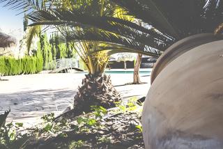 Charming House in Estepa with Mountain View - 9