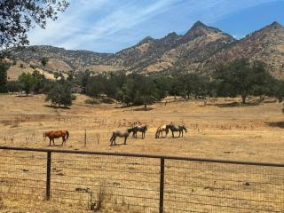 Agate Ranch 2 BD + Views + EV + Walk to River - 9