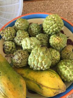 Authentic Grenadian Experience 3 - 8