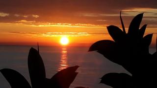 Sea Dreams House - Benidorm - 6