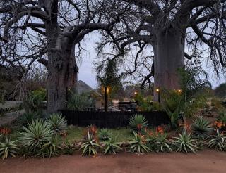 Hambana Lifestyle Lodge - 0