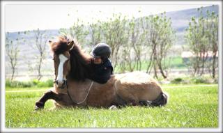 Dæli Apartments - 7