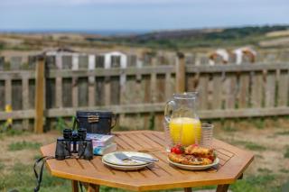 1 Bed in Penzance oc-henst - 8