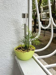 Bird Apartment - 3