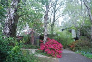 Olinda Beech 1 - 1 bedroom - by Ready Set Stay - 1