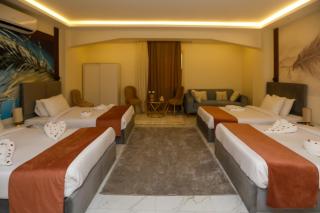 Pyramids Palace INN With Rooftop Access - 3