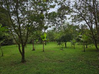 Casa Chito - 3