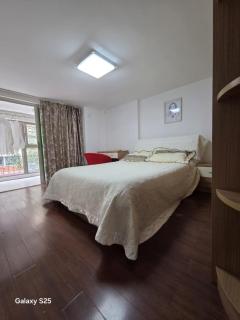 全景loft 6人3床3卫 近机场近景点 - 1