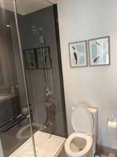 Cozy 2 Room 2 Bath Apartment SQ1 - 4