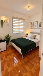 Maison de Taal - 3