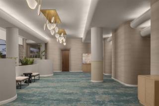 Embassy Suites by Hilton Orlando International Drive ICON Park - 3