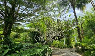 Exotic Boutique Hotel - 8