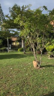 Khao Yai Countryside Retreat - 6