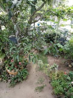 Herman liliyan Villa - 6