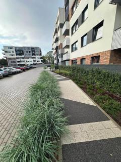 Apartament Kameliowy - 9