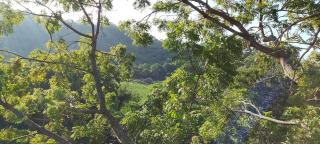 Iththakema Rainbow Tree house, Cabanas & Yala Gateway - 5