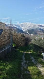 Clementina B&B - Brittoli - 1