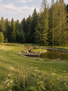 Gruppenhaus Kanzlersgrund bei Oberhof mit Sauna in Alleinlage - 5