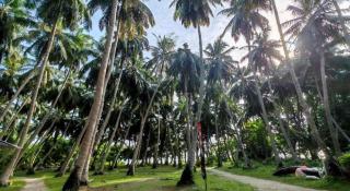 Sea View Beach Resort - 7