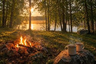 Private Finnish Off-Grid Lake & Sauna Cabin Experience - 1