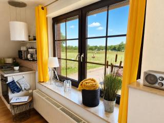 Ferienwohnungen Dümmersee - Haus Dümmerland - Wohnung 1 - 7