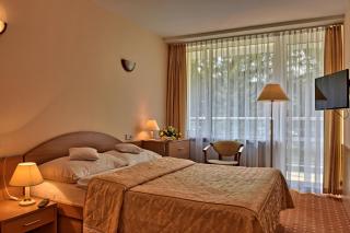 Hotel Perła Południa - Rytro - 1