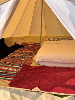Seaview Cottage & Two Yurts - 7