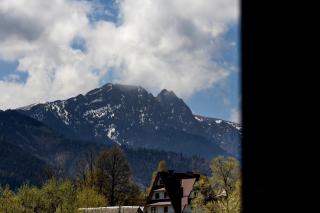 Księżycowe Apartamenty SPA by Golden Villas - Zakopane - 1