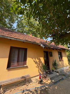 Apartman Zdravkovic - 3