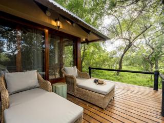 Shimungwe Lodge, Thornybush Game Reserve - 4