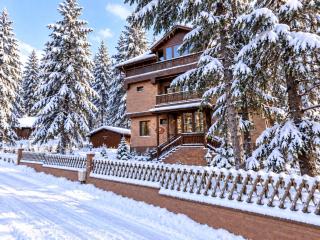 House Anadola in Borovets - 0