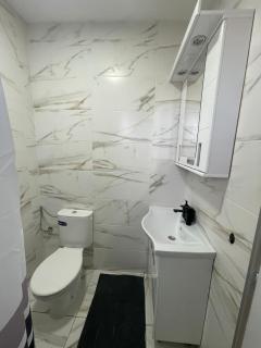 Privatna oaza sa 3 apartmana i velikim dvorištem Pet friendly - 6