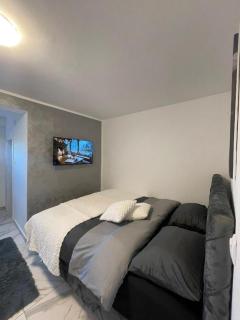 Privatna oaza sa 3 apartmana i velikim dvorištem Pet friendly - 1