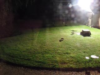 Pavillon De Chasse - 7