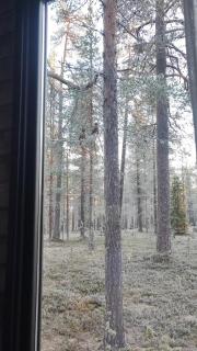 Lapelland Borealis Village - Äkäslompolo - 1