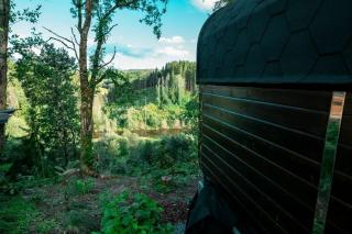 Forest Coziness - 5