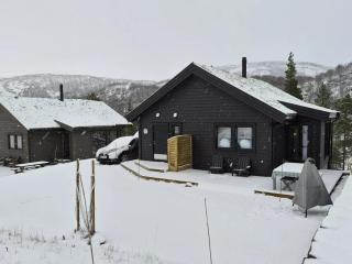 Stor Hytte Tett På Slottet I Sirdal - 9