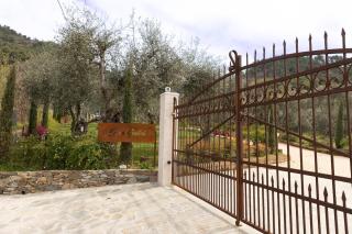 Casa Gabri Tuscan Villa - 9